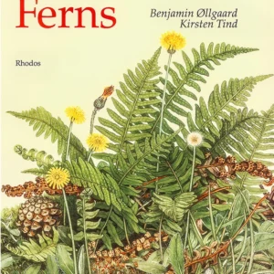 Scandinavian ferns