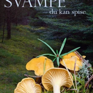 Svampe - du kan spise