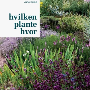 Hvilken plante hvor