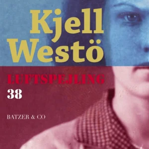 Luftspejling 38