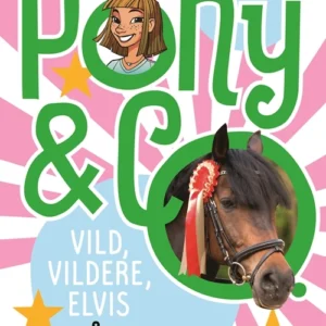 Den sjette bog om Pony & co