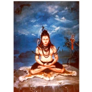 Naadi Palmleaf Astrology