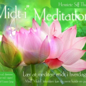 "Midt-i" Meditation