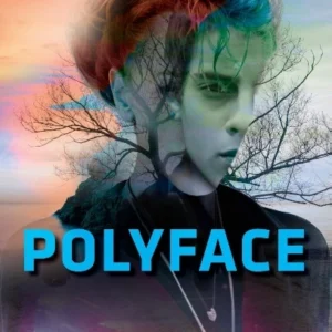 Polyface