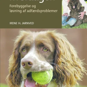 Hunden i hverdagen