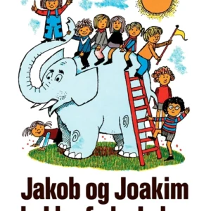 Jakob og Joakim holder fødselsdag