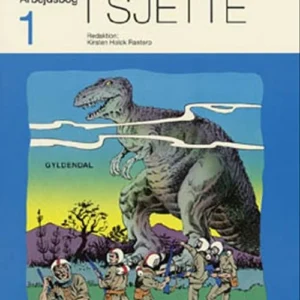 Dansk i sjette