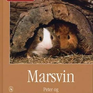 Marsvin