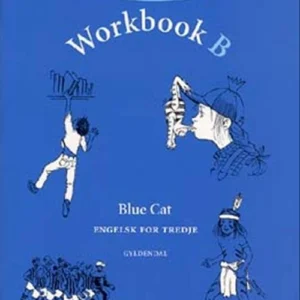 Workbook B