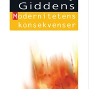 Modernitetens konsekvenser