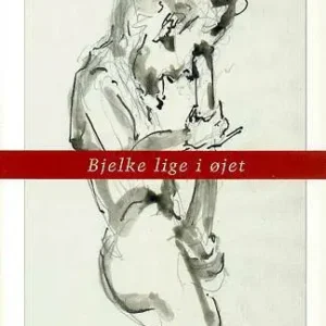 Bjelke lige i øjet