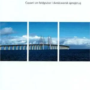 Forstår vi, hvad vi siger i Øresundsregionen?