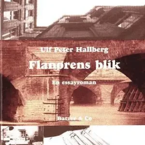 Flanørens blik