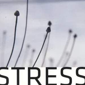 Stress - det moderne traume