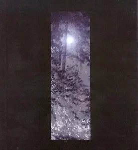 Visionens Bog