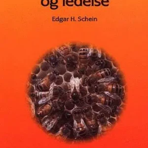 Organisationskultur og ledelse