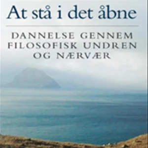 At stå i det åbne