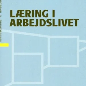 Læring i arbejdslivet