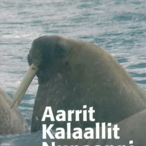 Aarrit Kalaallit Nunaanni