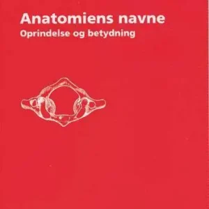 Anatomiens navne