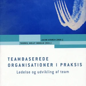 Teambaserede organisationer i praksis