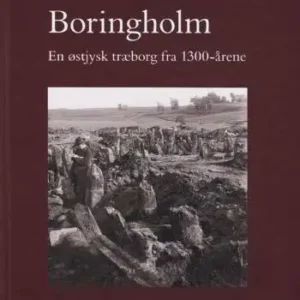 Boringholm