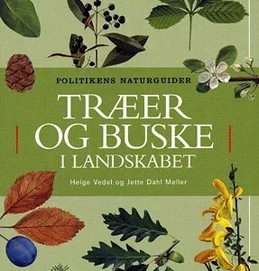 Træer og buske i landskabet