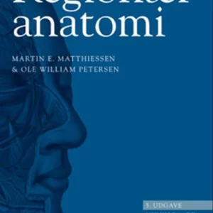 Regionær anatomi
