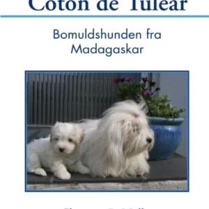 Coton de Tuléar
