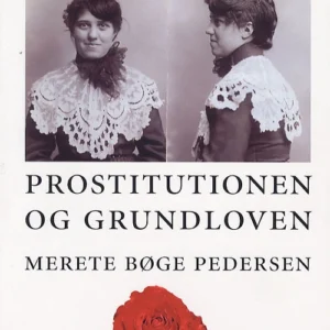 Prostitutionen og Grundloven