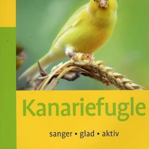 Kanariefugle