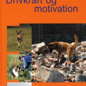 Drivkraft og motivation