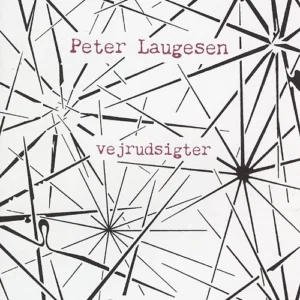 Vejrudsigter