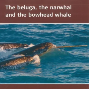 GreenlandÂ´s winter whales