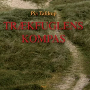 Trækfuglens kompas