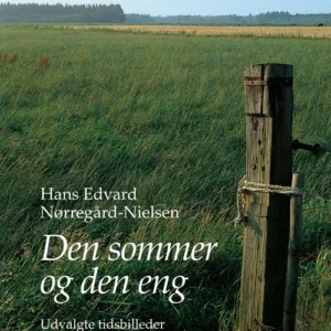 Den sommer og den eng