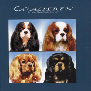 Cavalieren