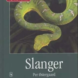Slanger