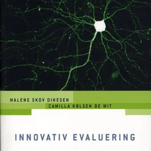 Innovativ evaluering