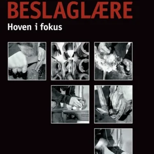 Beslaglære