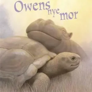 Owens nye mor