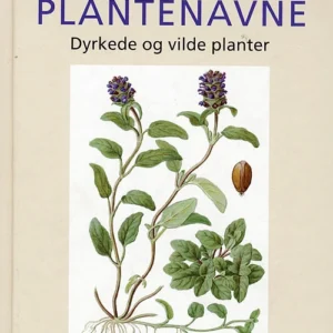 Plantenavne