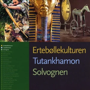Historiekanon, Ertebøllekulturen, Tutankamon, Solvognen