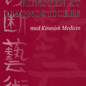 Kunsten at diagnosticere