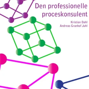 Den professionelle proceskonsulent