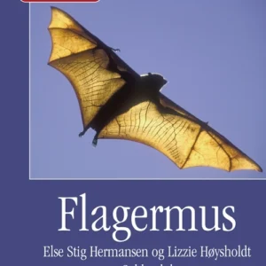 Flagermus