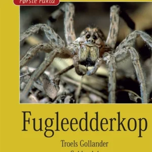 Fugleedderkop