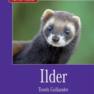 Ilder