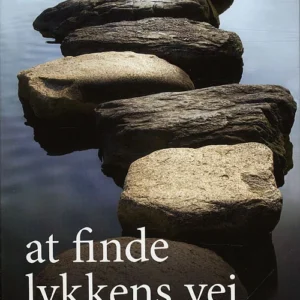 At finde lykkens vej
