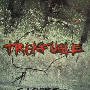 Trækfugle